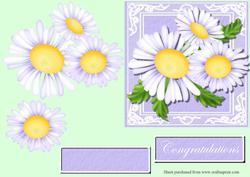 Dazzling Daisies 2 Decoupage Quick Card Front
