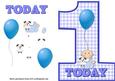 Baby Boys 1st Birthday