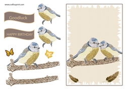 bluetit card