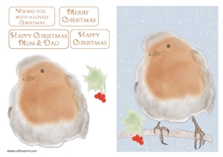 robin in snow