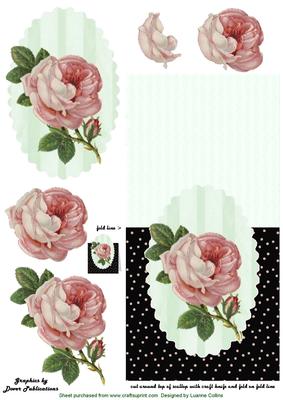 Cottage Rose 2 Over the Top Card
