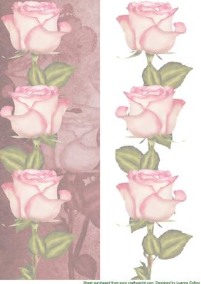 Pink Roses 1 Dl Card Front