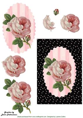 Cottage Rose Topper