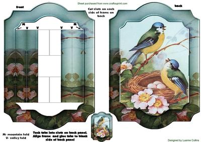 Birdsong Popout Frame Topper