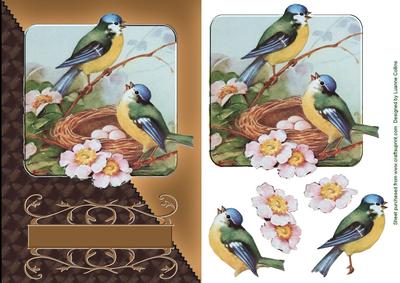 Birdsong Brown Diagonal Card Topper