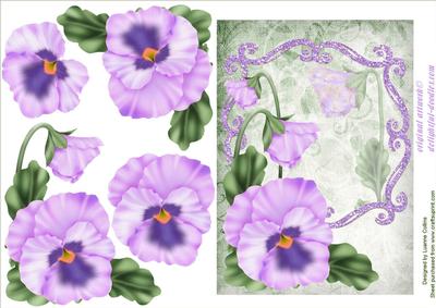 Pansy Bloom Lavender Card Topper