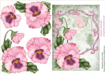 Pansy Bloom Pink Card Topper