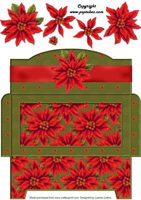 Poinsettia Money Gift Envy