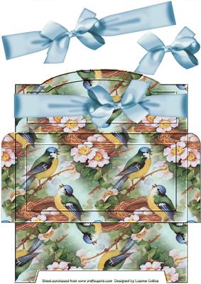 Birdsong Money Gift Envy Blue Bow