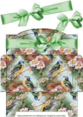 Birdsong Money Gift Envy Green Bow