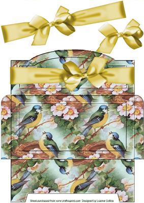 Birdsong Money Gift Envy Yellow Bow