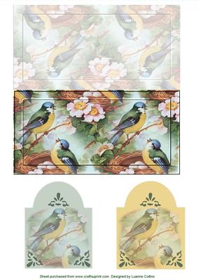Birdsong Card and Tag Set