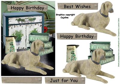 Best Friend Birthday Card Front