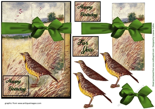 Meadow Lark Card Front