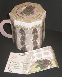 Touch of Mint Mug Box Set