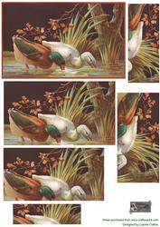 Duck in the Reed Pyramid