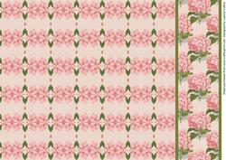 Vintage Pink Border Sheet