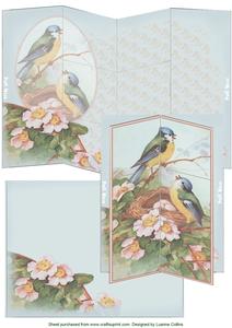 Birdsong Magic Card Set
