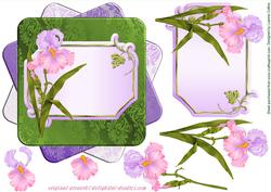 Satin and Iris Twisted Card Front