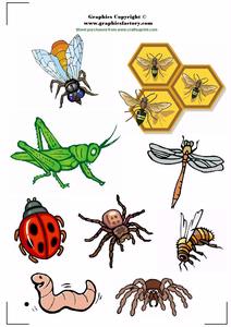 Bugs Print And Cut