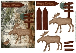 Woodsy Campn Card Front