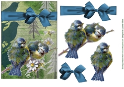 Wings in the Forest Card Front