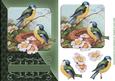 Birdsong Forest Diagonal Card Topper