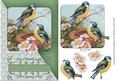 Birdsong Green Diagonal Card Topper