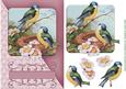 Birdsong Mauve Diagonal Card Topper