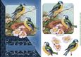 Birdsong Navy Diagonal Card Topper