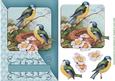 Birdsong Teal Diagonal Card Topper