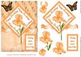 Orange Birthday Iris Card Topper
