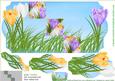 Spring Crocus Violet 5x7 Fold Card