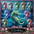 Coloured Sea Horses