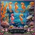 Sea Life & Coral 1
