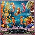 Sea Life & Coral 2