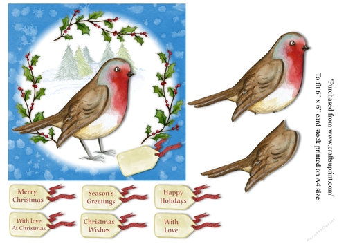  Robin 6x6 topper with various greeting tags