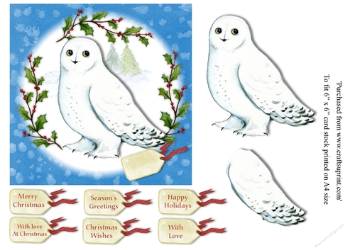 Snow Owl 6x6 topper with various greeting tags