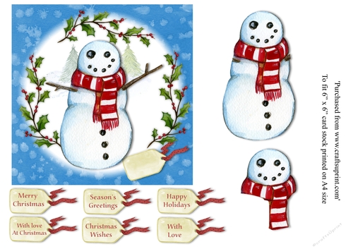 Snowman 6x6 topper with various greeting tags