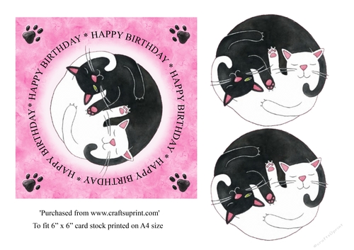 Ying Yang Black & white Cat birthday card topper in pink for 6x6 card