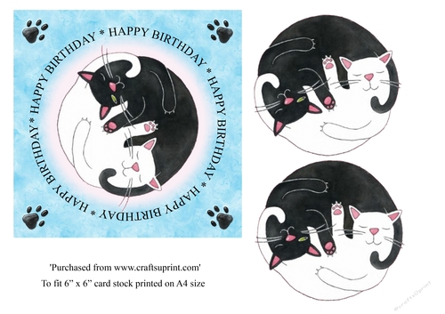 Ying Yang Black & white Cat birthday card topper in blue for 6x6 card