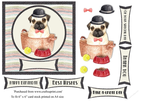 Cute pug in basket birthday card topper for 6x6 card