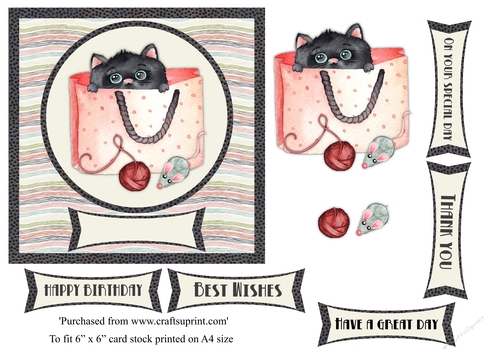 Cute black cat in a bag birthday card topper for 6x6 card