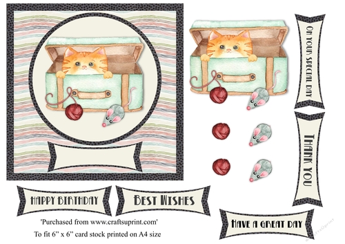 Cute ginger cat in a suitcase birthday card topper for 6x6 card