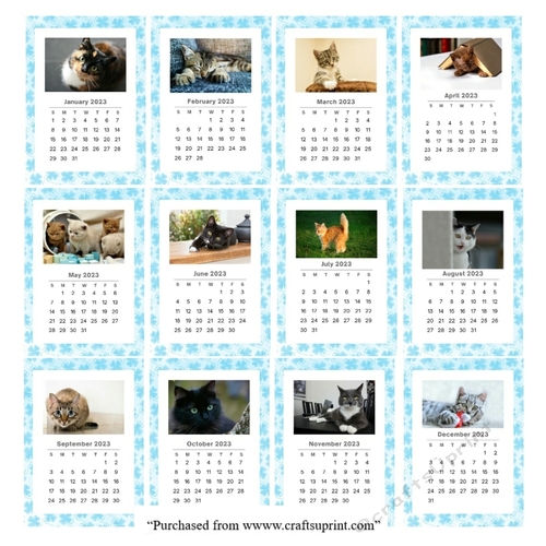 Cats Calendar 2023 with 12 A4 sheets