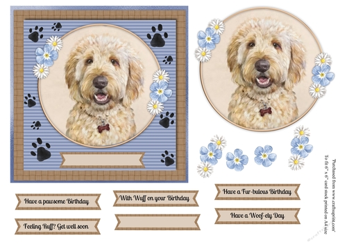 Cute Golden doodle dog topper for 6x6 card