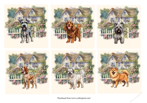 Dogs at garden gate card fronts
