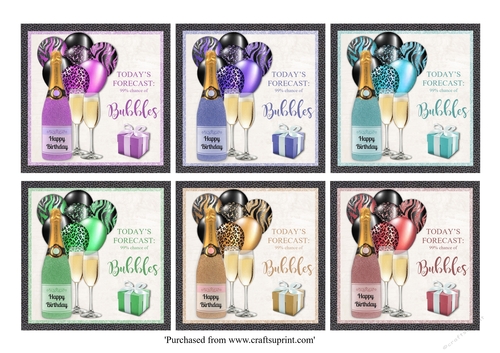 Set of 6 Glitter bottles Champagne with matching balloons birthday card toppers for 8x8 card