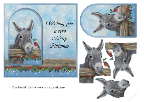 Little Donkey & Robin Christmas topper for 6x6 card