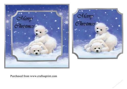 Baby Polar bears in snow Christmas topper for 6x6 card
